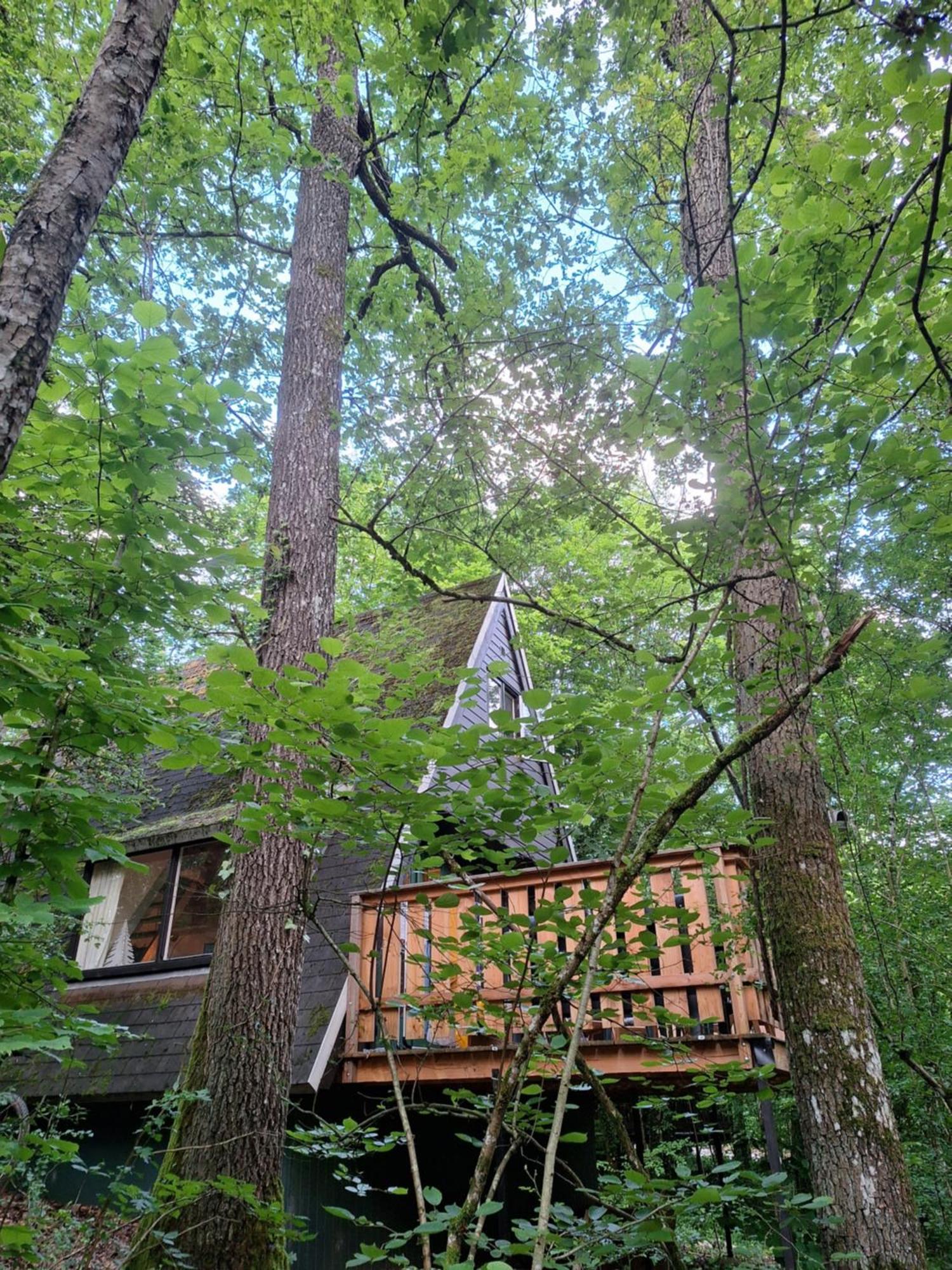 Chalet 139 Hakuna Matata Durbuy Buitenkant foto